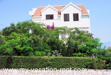 Apartments Mira - 50 m from beach: Croatia - Dalmatia - Island Brac - Supetar - apartment #1392 Picture 4
