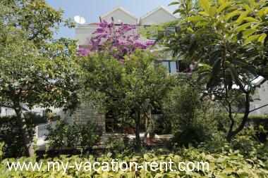 Apartments Mira - 50 m from beach: Croatia - Dalmatia - Island Brac - Supetar - apartment #1392 Picture 6