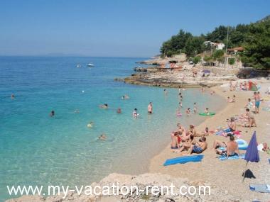 Apartments Josip - 100 m from beach: Croatia - Dalmatia - Hvar Island - Ivan Dolac - apartment #1406 Picture 8