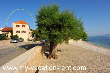 Apartments Piv - 10 m from beach: Croatia - Dalmatia - Island Brac - Sutivan - apartment #1409 Picture 1