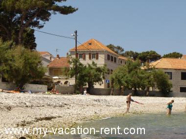 Apartments Piv - 10 m from beach: Croatia - Dalmatia - Island Brac - Sutivan - apartment #1409 Picture 3