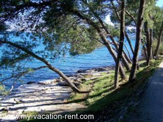 Ferienwohnungen Beba Kroatien - Dalmatien - Insel Brac - Splitska - ferienwohnung #149 Bild 4