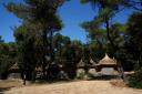 A2 bungalov Croatia - Dalmatia - Zadar - Pakostane - holiday resort #150 Picture 3