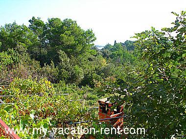 Apartment Korcula Korcula Island Dalmatia Croatia #1506