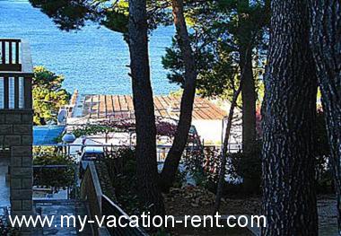 Apartments Vese - 200 m from beach: Croatia - Dalmatia - Makarska - Brela - apartment #1541 Picture 6