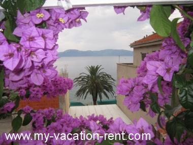 Apartments Graci - 20 m from pebble beach: Croatia - Dalmatia - Makarska - Gradac - apartment #1548 Picture 1