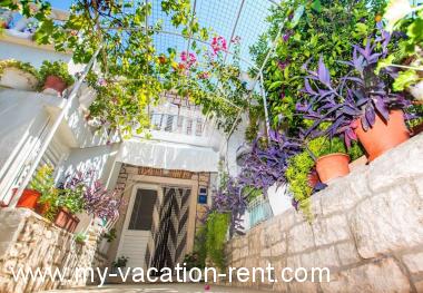 Apartment Vela Luka Korcula Island Dalmatia Croatia #1692