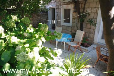 Apartament Cavtat Dubrovnik Dalmacja Chorwacja #1787