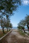 Apartments Mir - close to beach: Croatia - Dalmatia - Split - Duce - apartment #2000 Picture 8