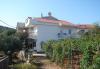 Apartamenty Slaven - 50 m from beach: Chorwacja - Dalmacja - Trogir - Vinisce - apartament #2155 Zdjęcie 5