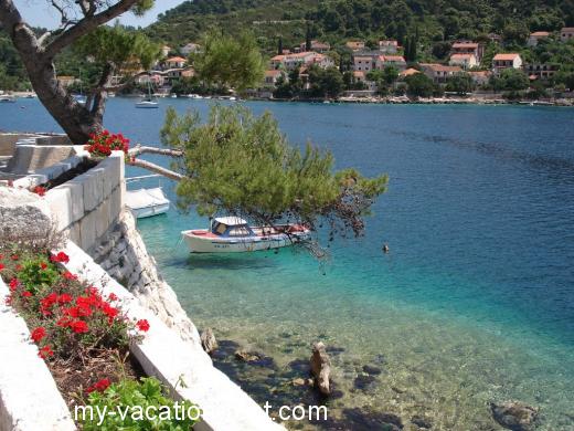 Ferienwohnungen Pecotić Kroatien - Dalmatien - Insel Korcula - Brna - ferienwohnung #223 Bild 2