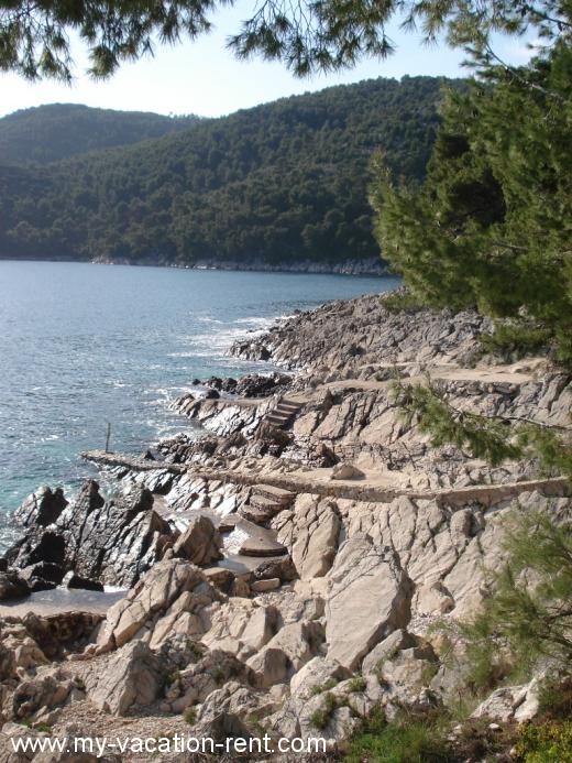 Ferienwohnungen Pecotić Kroatien - Dalmatien - Insel Korcula - Brna - ferienwohnung #223 Bild 4