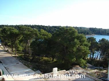 Apartmán Milna (Brac) Ostrov Brač Dalmácie Chorvatsko #2440