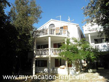 Apartman Zaton (Zadar) Zadar Dalmacija Hrvatska #2599