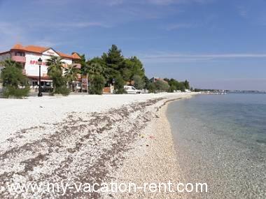 Ferienwohnungen Monika - 10m from sea: Kroatien - Dalmatien - Insel Vir - Vir - ferienwohnung #2656 Bild 4