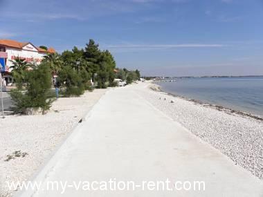 Ferienwohnungen Monika - 10m from sea: Kroatien - Dalmatien - Insel Vir - Vir - ferienwohnung #2656 Bild 5