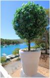 A1 mali(2+1) Croatia - Dalmatia - Sibenik - Primosten - apartment #2727 Picture 11