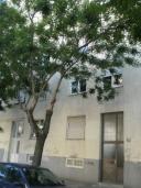 Apartmani Mira Hrvatska - Dalmacija - Split - Split - apartman #274 Slika 10