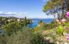 Apartments Tirkiz - 80m from the sea: Croatia - Dalmatia - Island Solta - Rogac - apartment #2744 Picture 11