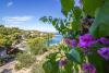 Apartments Tirkiz - 80m from the sea: Croatia - Dalmatia - Island Solta - Rogac - apartment #2744 Picture 11