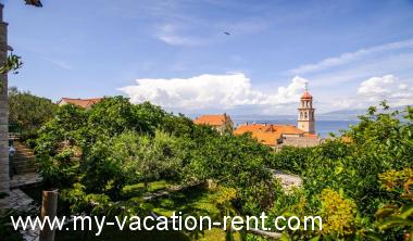 Apartman Sutivan Otok Brač Dalmacija Hrvatska #2982