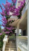 Appartements Pupa - nice family apartments: A3 Tea(2+1)