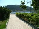 Ferienwohnungen Holiday house Kroatien - Dalmatien - Trogir - vinisce - ferienwohnung #319 Bild 6