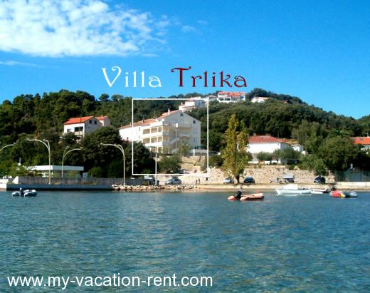 Apartments Villa Trlika Croatia - Kvarner - Island Rab - Kampor - apartment #35 Picture 1