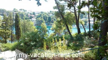 Ferienwohnung Splitska Insel Brac Dalmatien Kroatien #3558