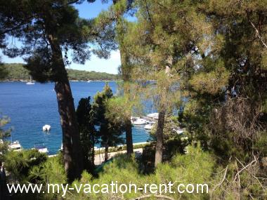 Ferienwohnung Mali Losinj Insel Losinj Kvarner Kroatien #3580