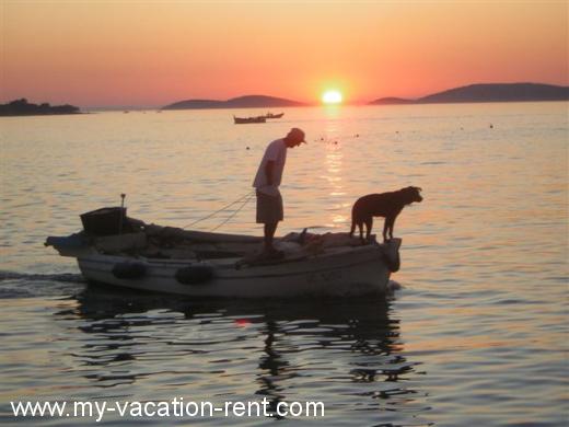 Ferienwohnungen ILLE-ILIC Kroatien - Dalmatien - Insel Murter - Betina - ferienwohnung #390 Bild 20