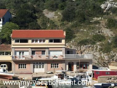 Apartments Đurđa - amazing location & sea view: Croatia - Dalmatia - Island Dugi Otok - Sali - apartment #3986 Picture 3