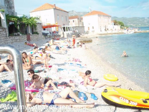 Ferienwohnungen Diana Kroatien - Dalmatien - Peljesac - Orebic - ferienwohnung #402 Bild 5