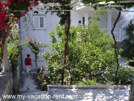 Appartements Zvono Croatie - La Dalmatie - Dubrovnik - Slano - appartement #404 Image 9