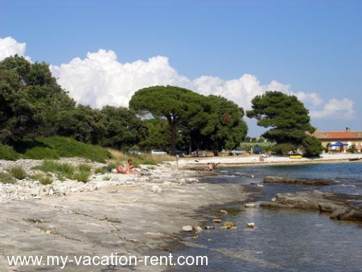 Holiday home Maya Croatia - Istria - Pula - Barbariga - holiday home #411 Picture 3