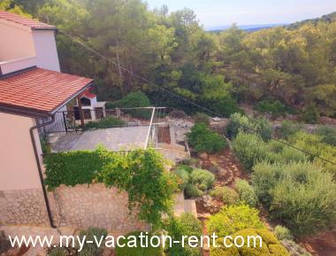 Appartement Cove Rukavac Île de Vis La Dalmatie Croatie #4142