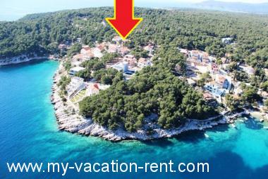 Appartement Cove Osibova (Milna) Île de Brac La Dalmatie Croatie #4144