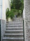 Dom wczasowy Villa Marija - terrace Chorwacja - Dalmacja - Dubrovnik - Trsteno - dom wczasowy #4244 Zdjęcie 8
