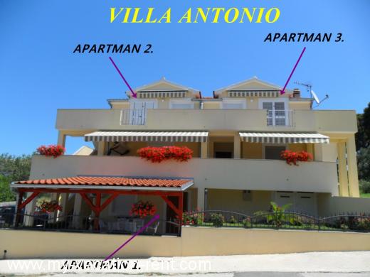 Apartmány VILLA ANTONIO Chorvatsko - Dalmácie - Zadar - Drage - apartmán #440 Obrázek 1