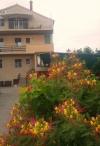 Guest rooms Ognjen - family apartments with free parking Croatia - Dalmatia - Island Murter - Betina - guest room #4526 Picture 4