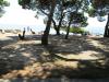 Ferienwohnungen Niksa Kroatien - Dalmatien - Zadar - Petrcane - ferienwohnung #455 Bild 10