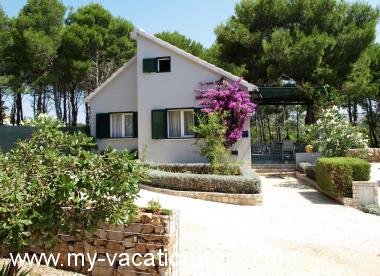 Vakantiehuis Cove Osibova (Milna) Eiland Brac Dalmatië Kroatië #4666
