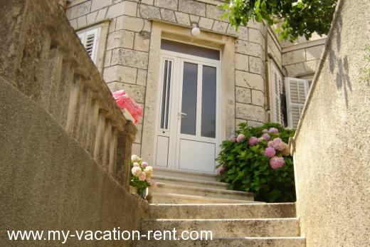 Apartments Villa Enny Croatia - Dalmatia - Dubrovnik - Dubrovnik - apartment #469 Picture 9