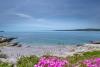 Apartments Rajka - 20 m from beach: Croatia - Istria - Rabac - Koromacno - apartment #4967 Picture 12