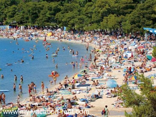 Ferienwohnungen Moreta Kroatien - Dalmatien - Zadar - Biograd na Moru - ferienwohnung #500 Bild 5