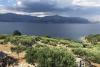 H(2) Kroatien - Dalmatien - Insel Brac - Cove Vela Lozna (Postira) - ferienhäuse #5185 Bild 13