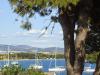 Penthouse with sea view, pool, gym Croatia - Dalmatia - Sibenik - Vodice - apartment #5278 Picture 18