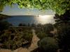 Holiday home Ani - 30 m from beach : Croatia - Dalmatia - Island Solta - Maslinica - holiday home #5466 Picture 7