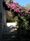 Apartman Franka Kroatien - Dalmatien - Insel Brac - Splitska - ferienwohnung #5694 Bild 20