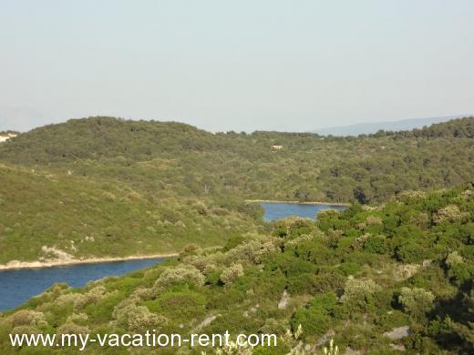 Ferienwohnungen ANITA Kroatien - Dalmatien - Insel Ciovo - Okrug Donji - ferienwohnung #571 Bild 4